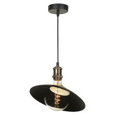 Светильник Подвесной светильник Lussole Loft LSP-9670