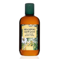 Шампунь для жирных волос, от облысения Shampoo capelli grassi 250 МЛ Ardes
