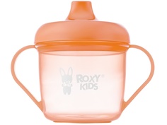 Кружка-поильник с носиком Roxy-Kids Peach RFD-005-O