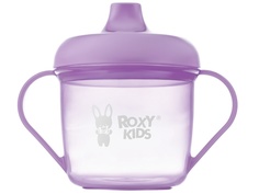 Кружка-поильник с носиком Roxy-Kids Lavender RFD-005-V
