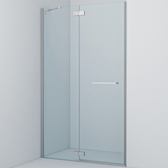 Душевая дверь Iddis