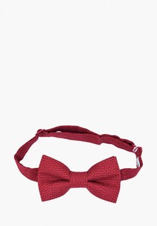 Бабочка Rainbowtie 