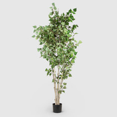 Растение искусственное Dpi birch в горшке зеленое 180 см