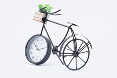 Часы настольные Велосипед с суккулентом Hoff