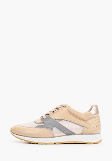 Кроссовки Basconi 