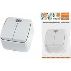 Двухклавишный выключатель TDM