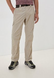 Брюки спортивные Columbia Silver Ridge™ Cargo Pant