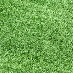 Газон искусственный Silverstone Carpet 8мм 2x1м