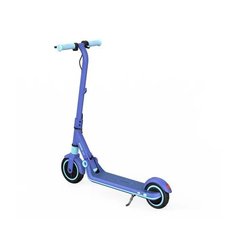 Электросамокат Ninebot eKickScooter Zing E8, синий