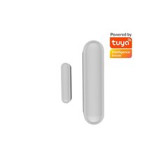 Wi-Fi датчик двери Ritmix &quot;SDT-100-Tuya&quot;