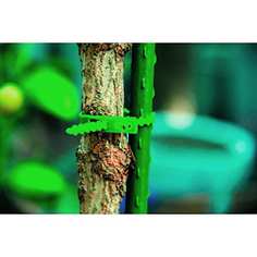 Регулируемая подвязка GREEN APPLE