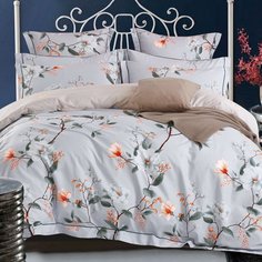 Постельное белье евростандарт, простыня 230х250 см, 2 наволочки 70х70 см, пододеяльник 200х220 см, Cleo, сатин, коллекция Satin de Luxe, 31/0013-SK