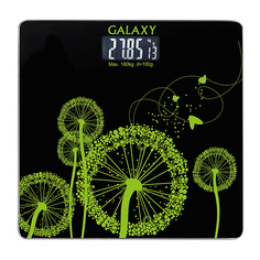 Весы напольные электронные, GL 4802 Galaxy
