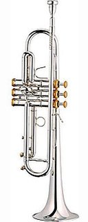 Elite 5335 330-ML Stomvi