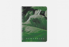 Планер Remarklee