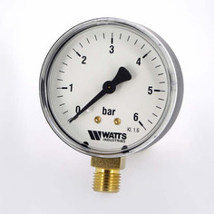 Манометр радиальный 1/4" х 63/6 Bar Watts F+R200 10007723