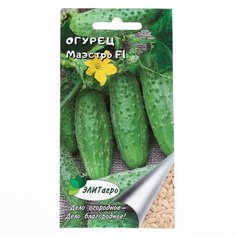 Семена Огурец, Маэстро F1, 0.3 г, цветная упаковка, ЭлитАгро