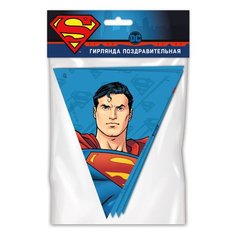 Гирлянда поздравительная Superman Персонажи, флажки ND Play