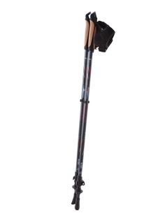 Палки BTrace NW Fast P0529