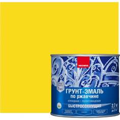 Быстросохнущая грунт-эмаль NEOMID