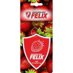 Подвесной бумажный ароматизатор FELIX