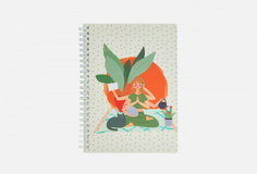 Планер Remarklee