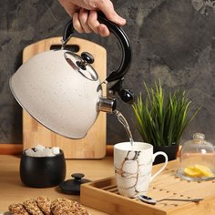 Чайник нержавеющая сталь, 3 л, со свистком, ручка бакелитовая, Daniks, бежевый мрамор, M-009W