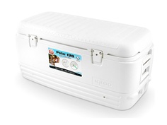 Термоконтейнер Igloo Polar 120 114L 44577