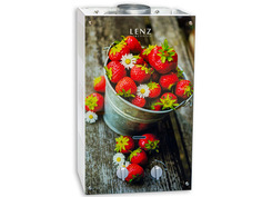 Водонагреватель Lenz Technic 10L Berry LT10GB