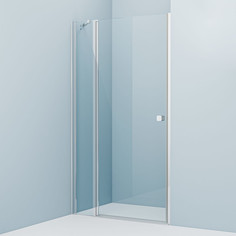 Душевая дверь 110 см IDDIS Ray RAY6CP1i69 прозрачное