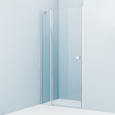 Душевая дверь 100 см IDDIS Ray RAY6CP0i69 прозрачное