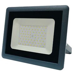 Прожектор ФАZА, СДО-10, 100 Вт, 6500 К, IP65, 5033641