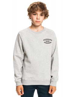 Детский Свитшот Wild Cars Quiksilver