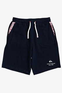 Мужские Спортивные Шорты Le Local Quiksilver