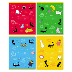 Тетради тетрадь 24л клетка А5 BG Cats&Cats