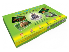 Настольная игра Нескучные игры Know How Мир животных 5736