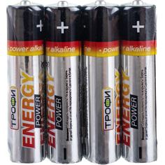 Элемент питания ТРОФИ