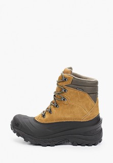 Ботинки трекинговые The North Face M CHILKAT IV