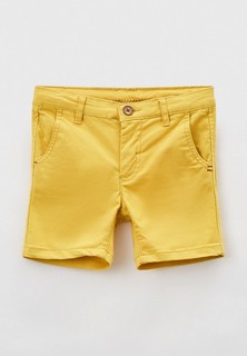 Шорты Acoola 