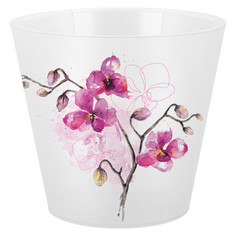 Кашпо, горшки для комнатных растений горшок для цветов London Orchid Deco 1,6л d16cм h15см фуксия пластик Ingreen
