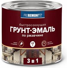Быстросохнущая грунт-эмаль Proremontt