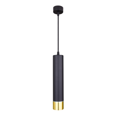 Светильник Подвесной светильник Elektrostandard DLN107 GU10 черный/золото a047734