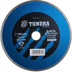 Отрезной сплошной алмазный диск ТУНДРА Tundra