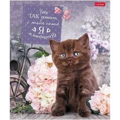 Тетрадь Hatber