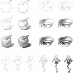 Тетрадь Hatber