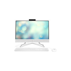 Моноблок HP 22-df1028ur (3V054EA)