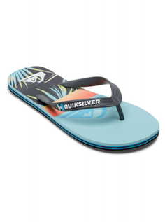 Сланцы Molokai Panel Quiksilver