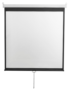 Экран настенный Digis DSOD-16906MW 273x159