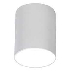 Светильники акцентного освещения круглые светильник накладной RITTER Arton GU10 цилиндр алюминий белый