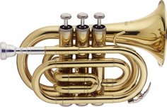 WS-TR245S Stagg